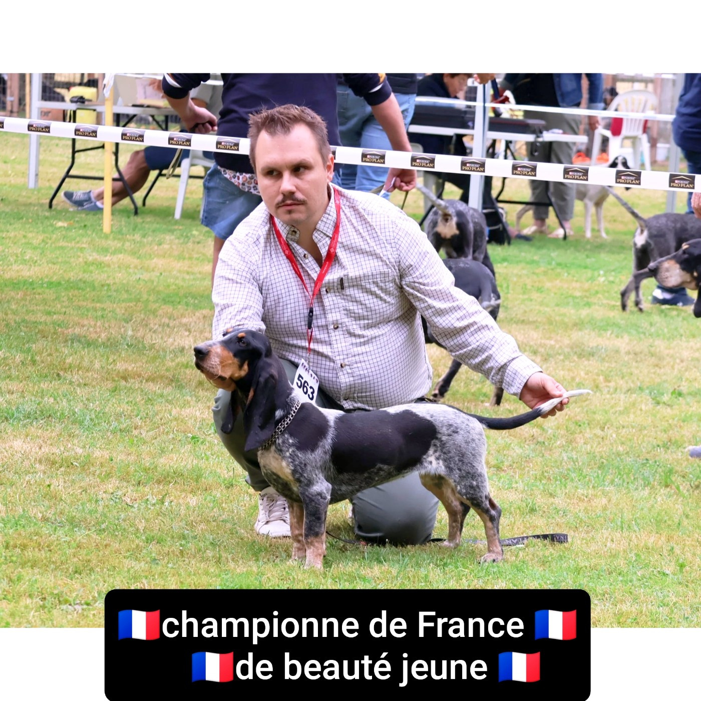 CH. Venise  Du Clos De Brignagues