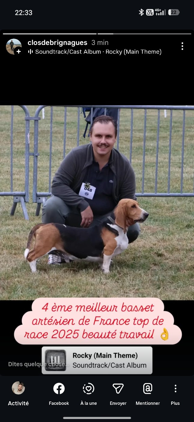 Ross 4 ème meilleur basset artésien de France