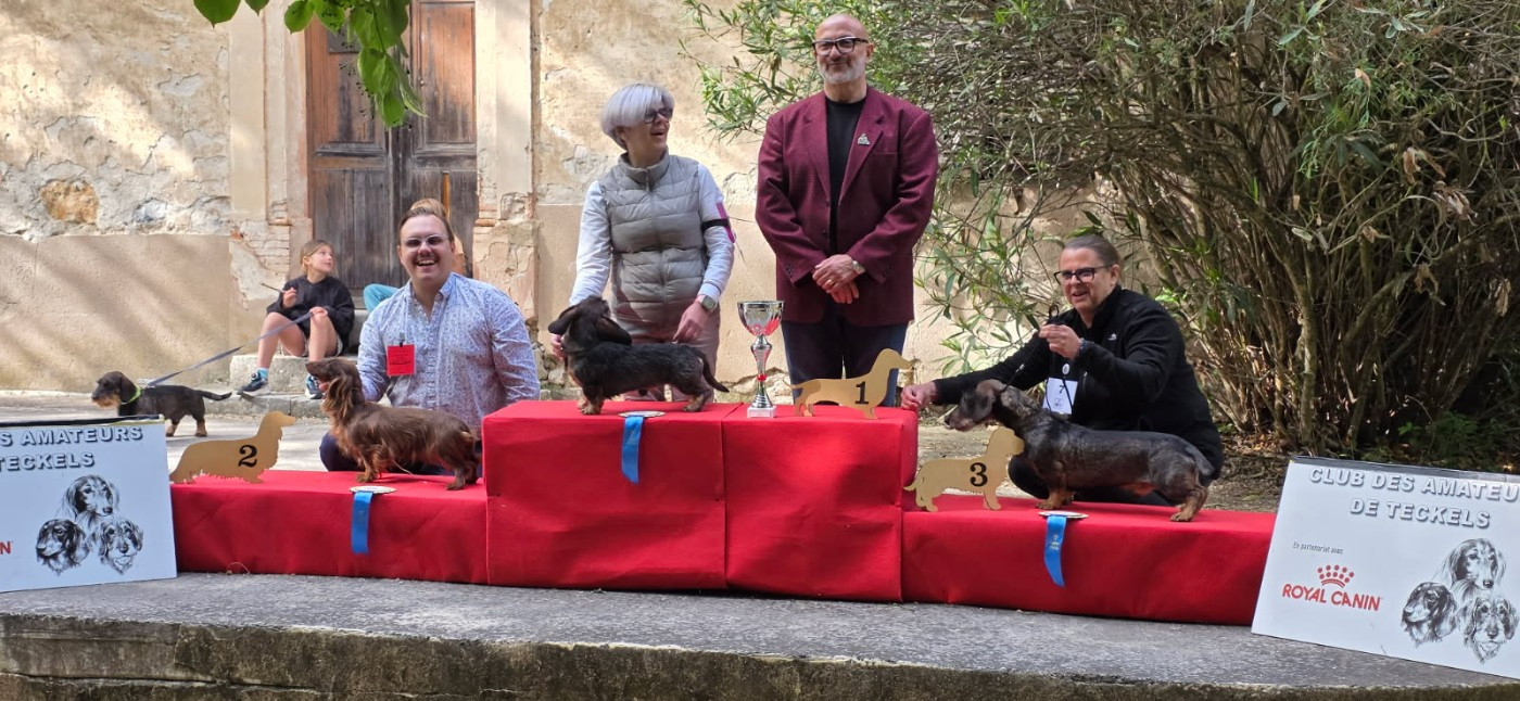 Du Clos De Brignagues - RÉGIONALE D ELEVAGE Mazaugue 2026